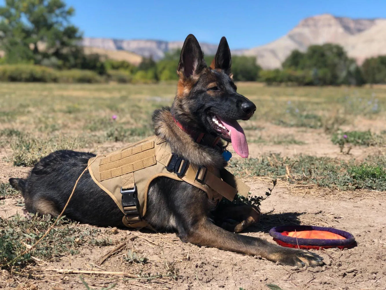 AlphaGear™ Dog Harness – Military-Grade Training Vest for German Shepherds & More