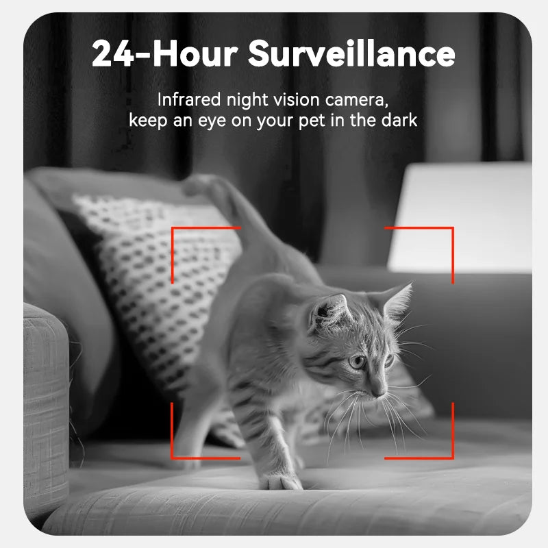 PetVision - Smart Feeder