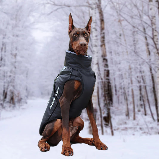 CozyPaws™ Waterproof Pet Coat – Fashionable Warmth with Plush Collar