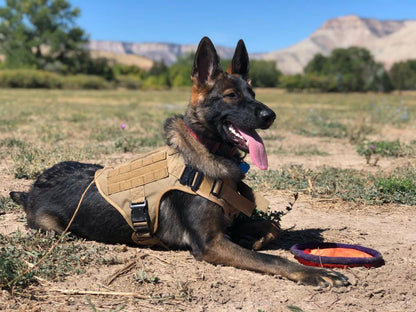 AlphaGear™ Dog Harness – Military-Grade Training Vest for German Shepherds & More