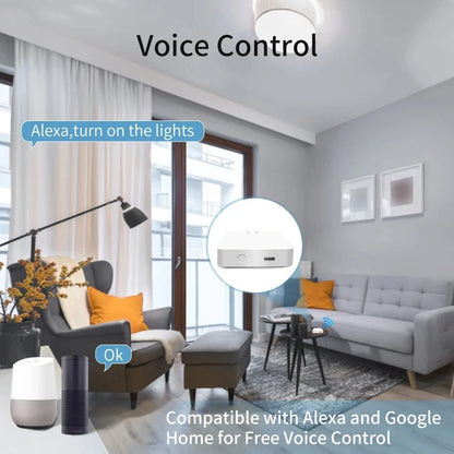 HomeSync Pro – Tuya ZigBee/Bluetooth Bridge with Alexa & Google Support